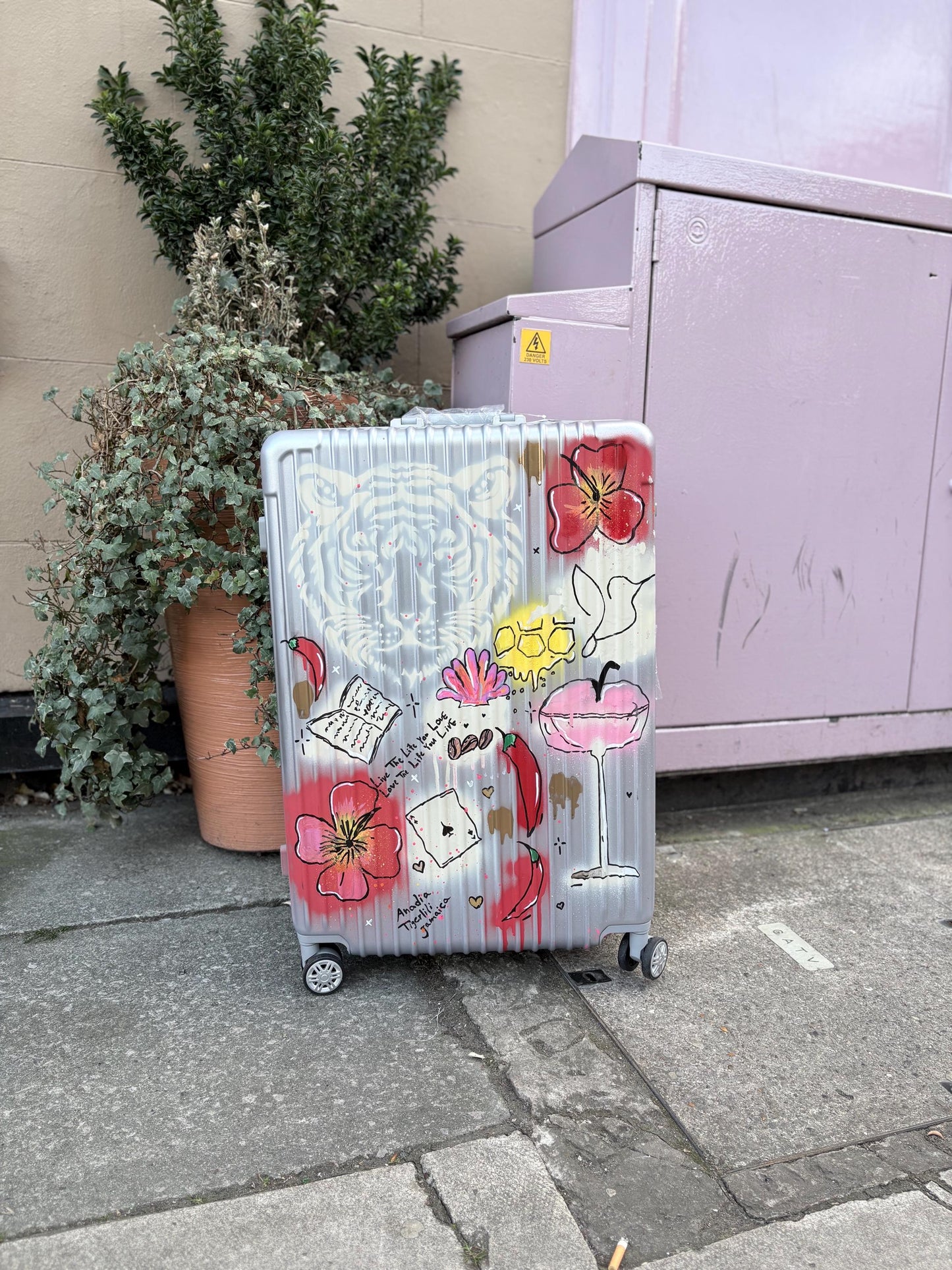 Custom Cabin Suitcase: Personalised Travel Luggage