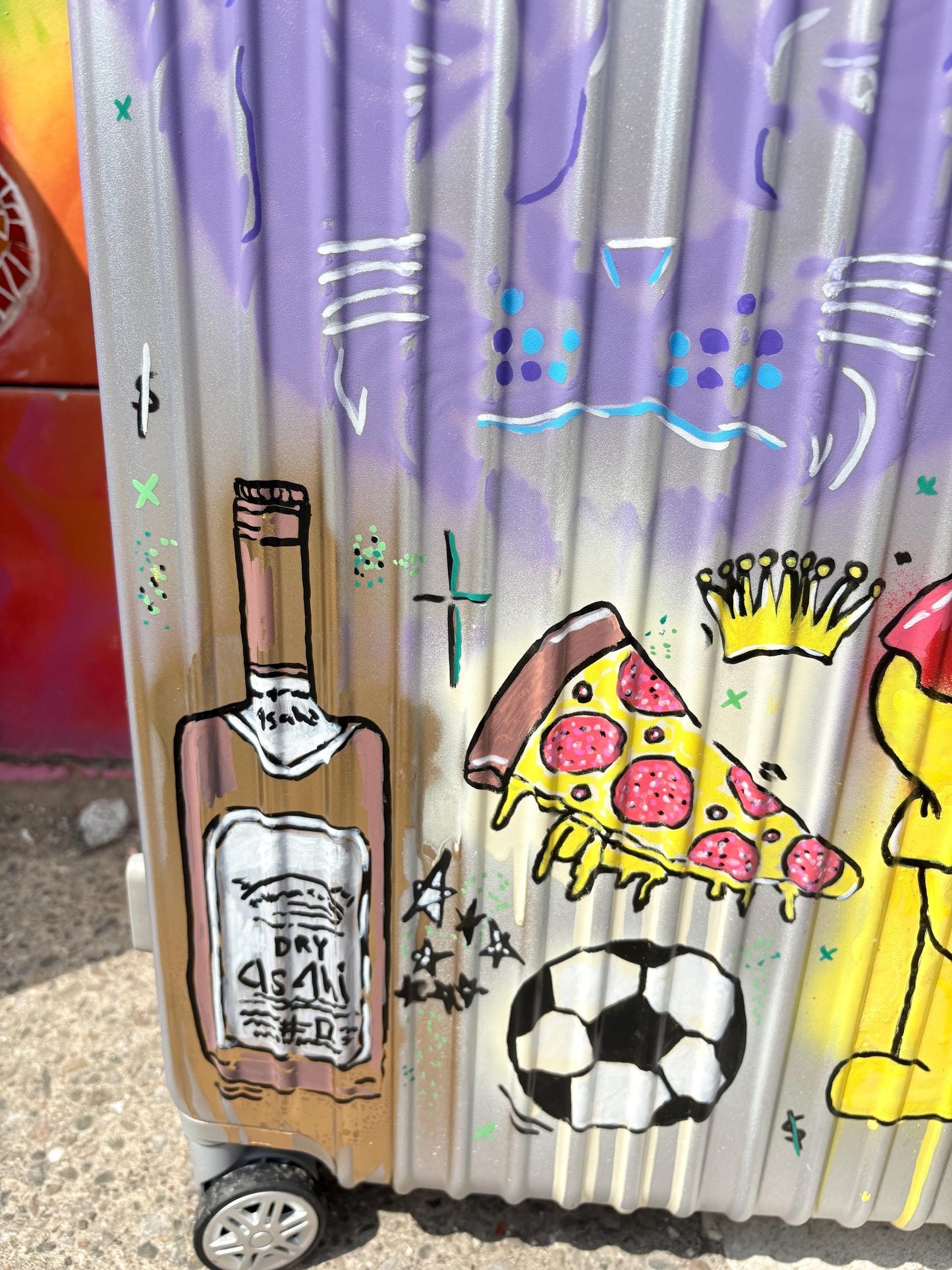 Custom cabin suitcase , suitcase included , unique customised cabin suitcase
