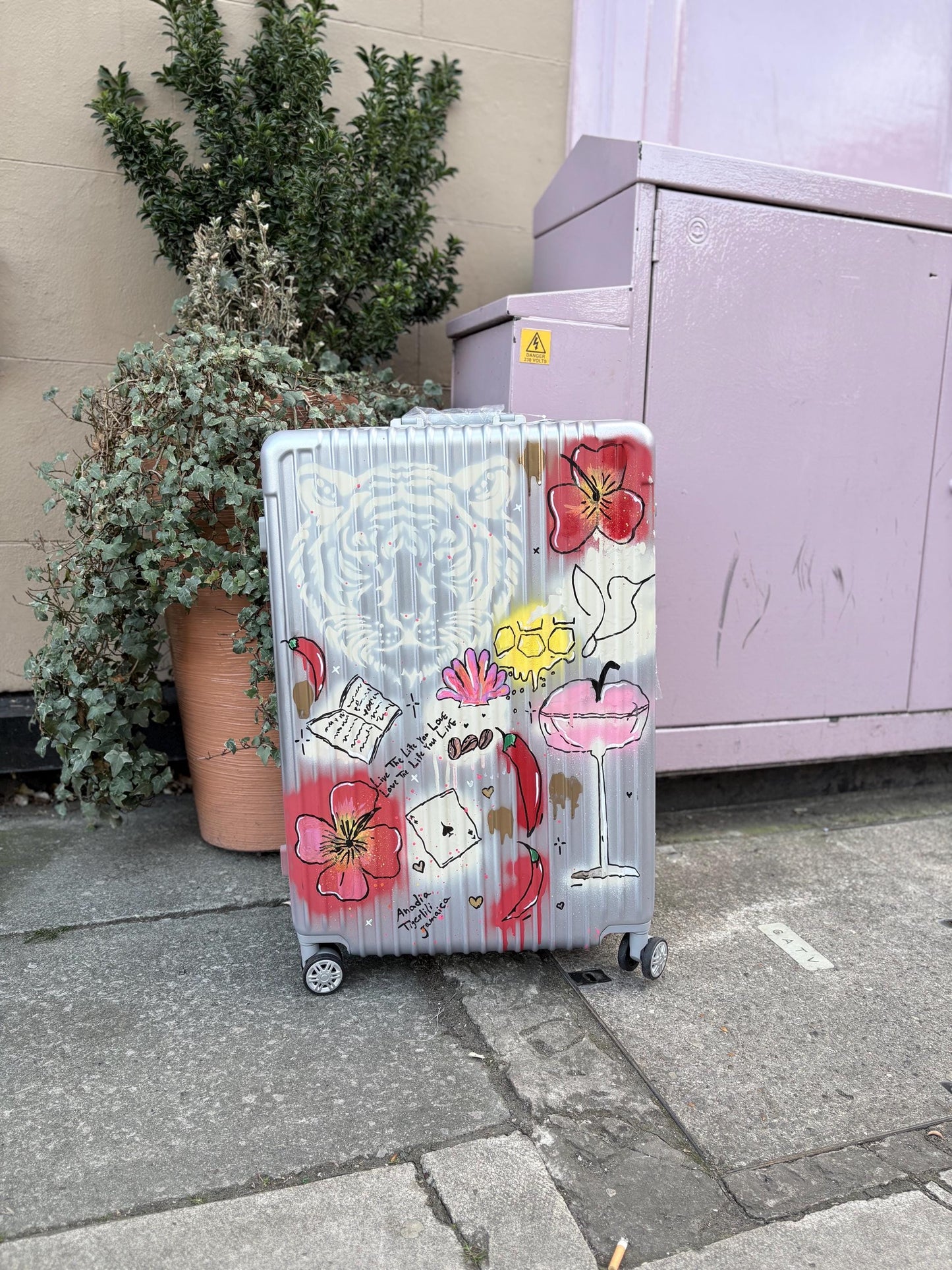 Custom Cabin Suitcase: Personalised Travel Luggage