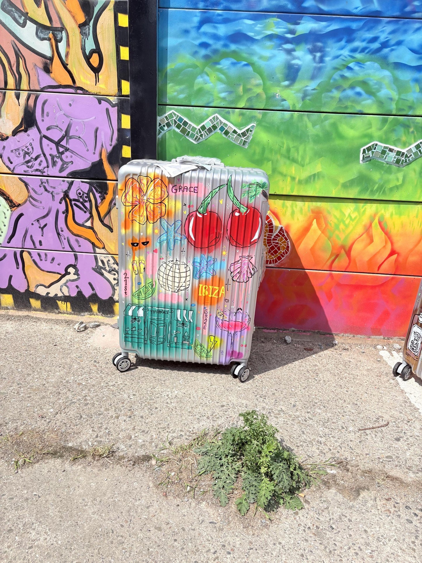 Custom Cabin Suitcase: Personalised Travel Luggage