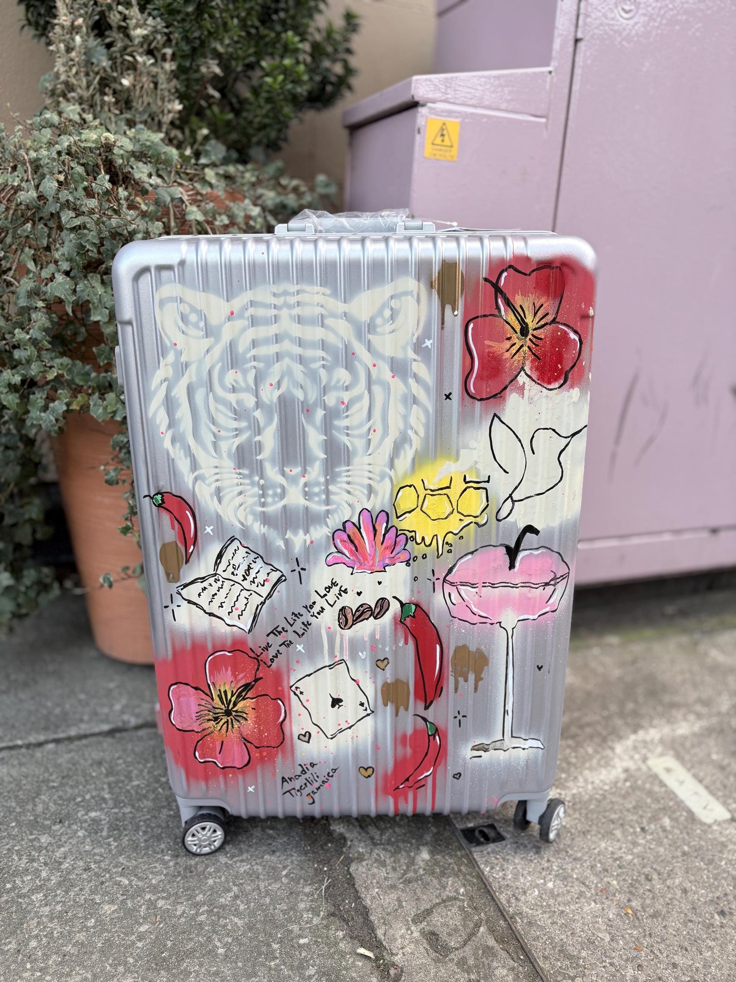 Custom Cabin Suitcase: Personalised Travel Luggage